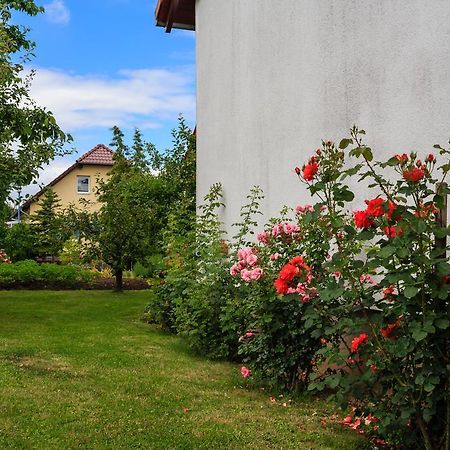 Hotel-Pension Am Rosarium Sangerhausen Zewnętrze zdjęcie