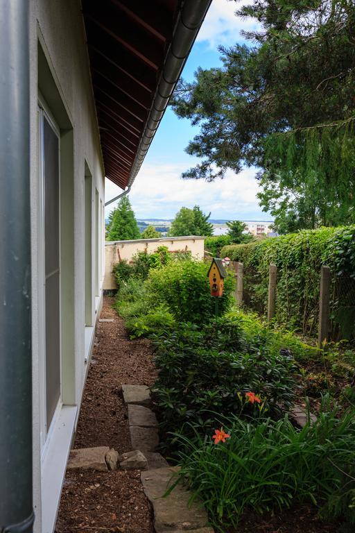 Hotel-Pension Am Rosarium Sangerhausen Zewnętrze zdjęcie