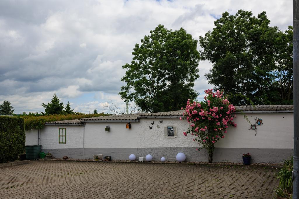 Hotel-Pension Am Rosarium Sangerhausen Zewnętrze zdjęcie